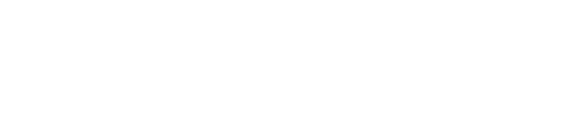 Analog Cognition
